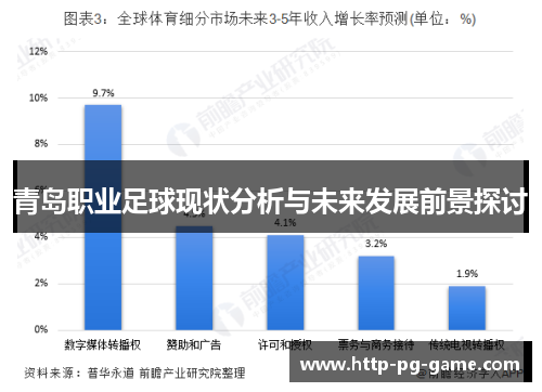 青岛职业足球现状分析与未来发展前景探讨